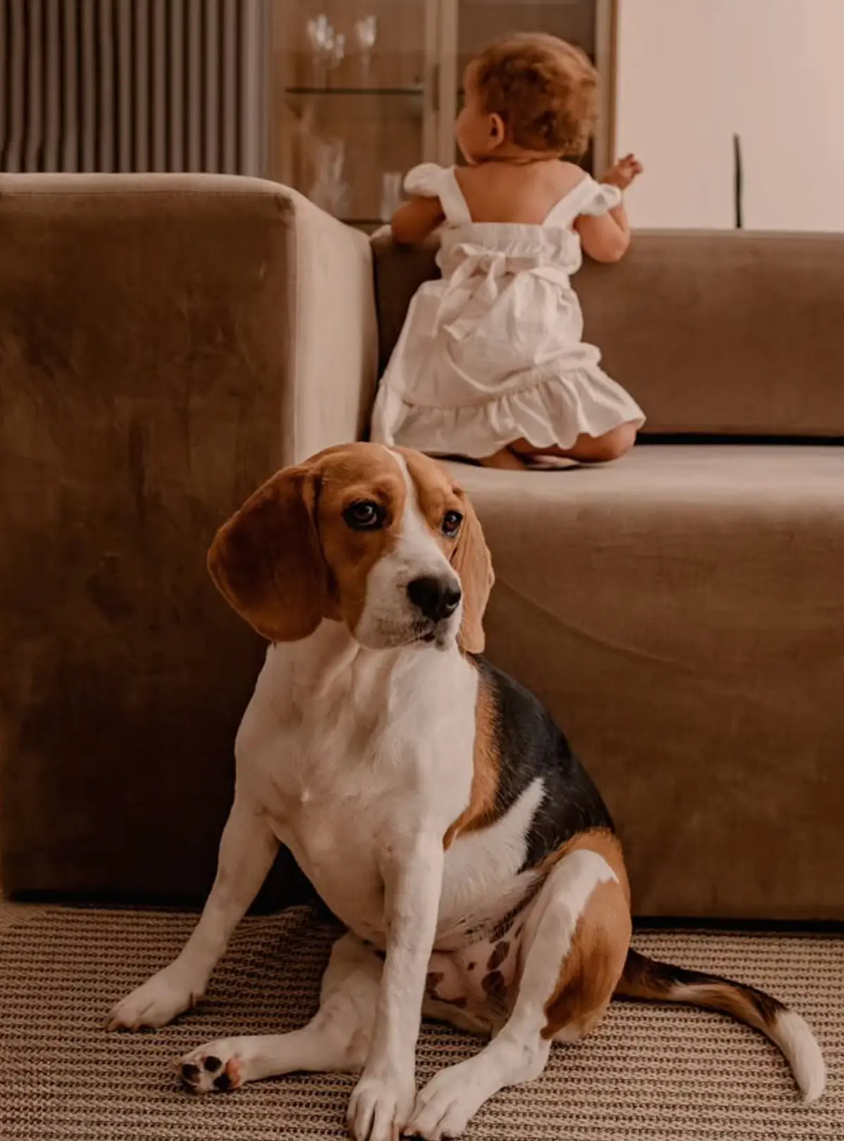 @martharegina_fotografias