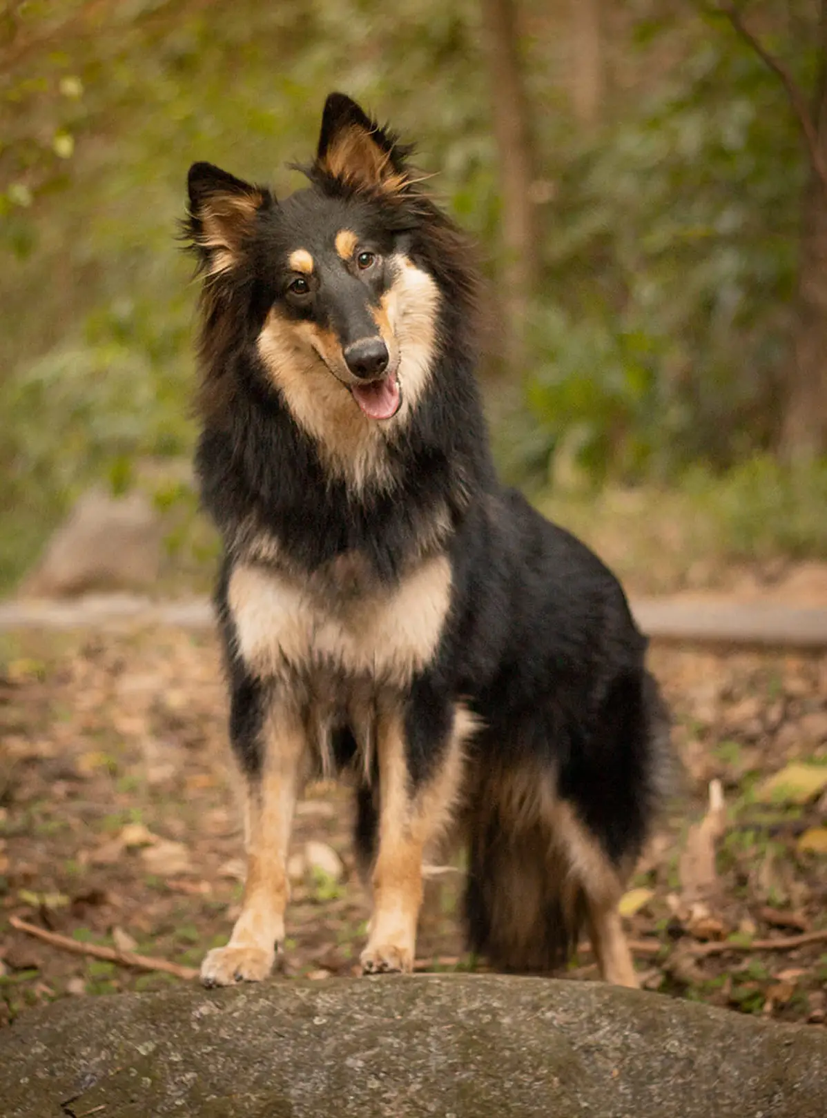 @mislenecostafotografia